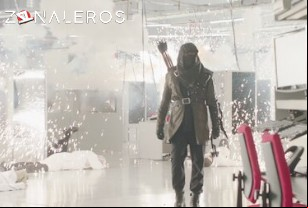Ver Arrow temporada 1 episodio 22