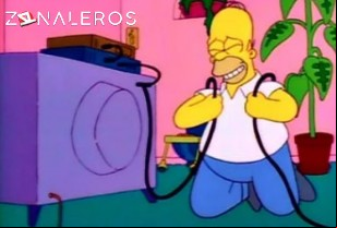 Ver Los Simpsons temporada 2 episodio 13