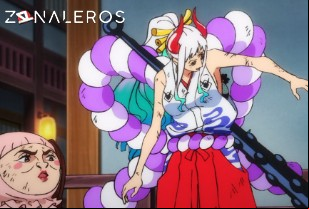 Ver One Piece temporada 1 episodio 1024