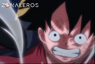 Ver One Piece temporada 1 episodio 1025