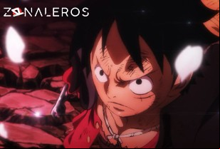 Ver One Piece temporada 1 episodio 1026