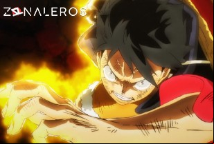 Ver One Piece temporada 1 episodio 1028