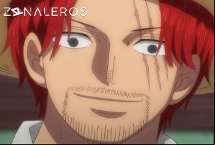 Ver One Piece temporada 1 episodio 1030