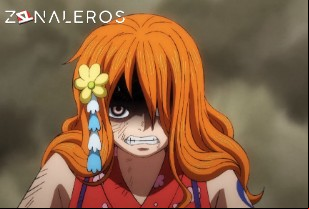 Ver One Piece temporada 1 episodio 1032