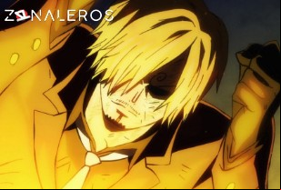 Ver One Piece temporada 1 episodio 1039