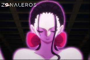 Ver One Piece temporada 1 episodio 1043