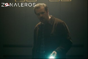 Ver Stranger Things temporada 1 episodio 5