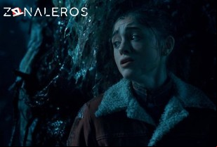 Ver Stranger Things temporada 1 episodio 6