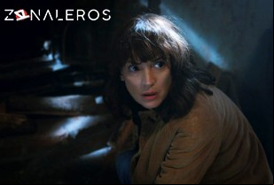 Ver Stranger Things temporada 2 episodio 9