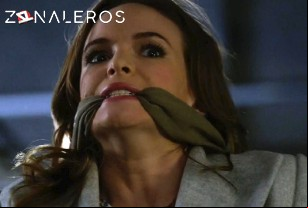 Ver The Flash temporada 1 episodio 10