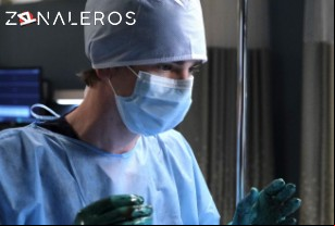 Ver The Good Doctor temporada 2 episodio 11