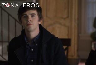 Ver The Good Doctor temporada 2 episodio 13