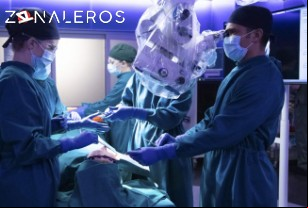 Ver The Good Doctor temporada 2 episodio 14