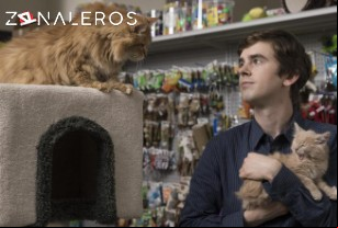 Ver The Good Doctor temporada 2 episodio 6