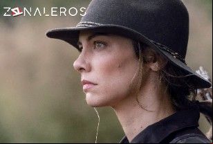 Ver The Walking Dead temporada 10 episodio 17