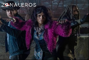 Ver The Walking Dead temporada 10 episodio 20