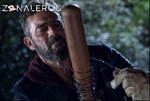 Ver The Walking Dead temporada 10 episodio 22