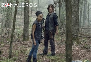 Ver The Walking Dead temporada 10 episodio 5