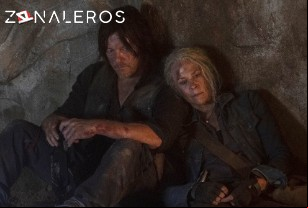 Ver The Walking Dead temporada 10 episodio 9