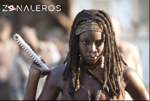 Ver The Walking Dead temporada 3 episodio 5