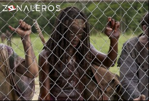 Ver The Walking Dead temporada 3 episodio 7