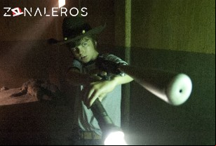 Ver The Walking Dead temporada 3 episodio 8
