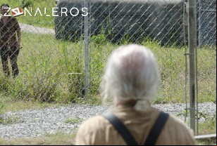 Ver The Walking Dead temporada 4 episodio 8