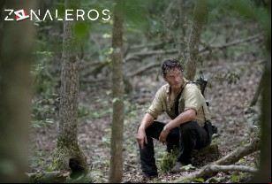 Ver The Walking Dead temporada 6 episodio 3