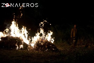 Ver The Walking Dead temporada 6 episodio 4