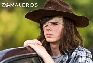 Ver The Walking Dead temporada 7 episodio 5