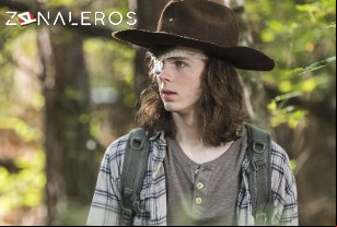 Ver The Walking Dead temporada 8 episodio 6