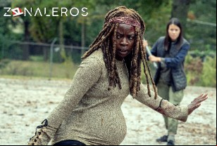 Ver The Walking Dead temporada 9 episodio 14