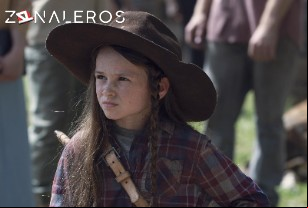 Ver The Walking Dead temporada 9 episodio 6