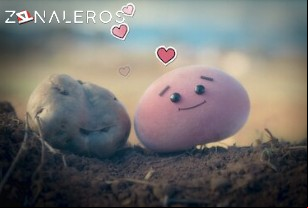 Ver Waffles y Mochi temporada 1 episodio 3