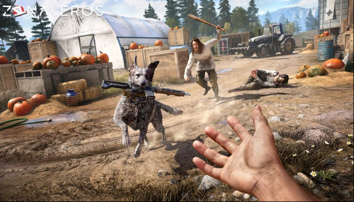 Far Cry 5 Gold Edition gameplay