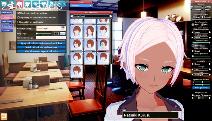 descargar Koikatsu Party After Party