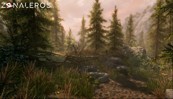 The Elder Scrolls V: Skyrim Special Edition gameplay