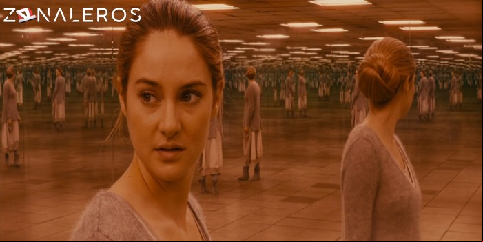 bajar Divergente