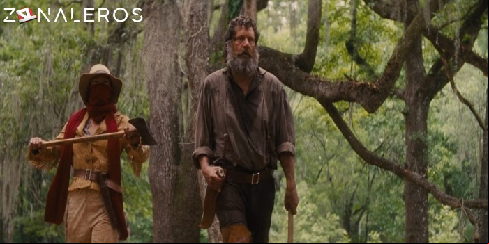 descargar Django sin cadenas