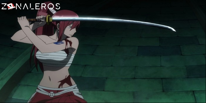 descargar Fairy Tail: La Sacerdotisa del Fénix