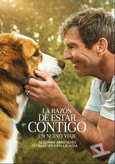 ver La razón de estar contigo: un nuevo viaje