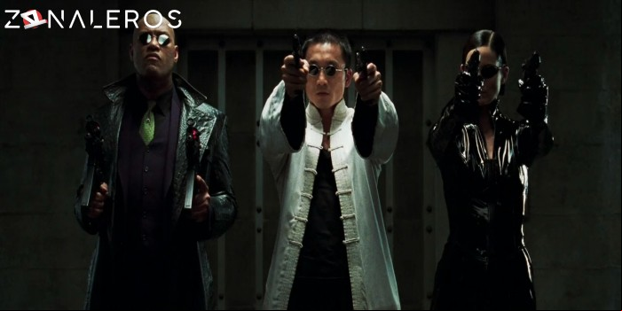 Matrix revoluciones gratis