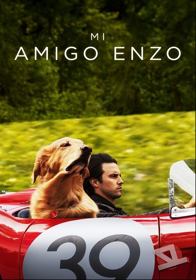 ver Mi amigo Enzo