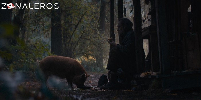 Pig gratis