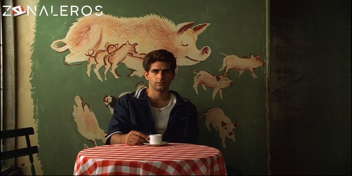 Los Soprano gratis